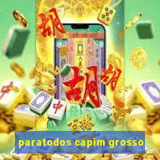 paratodos capim grosso